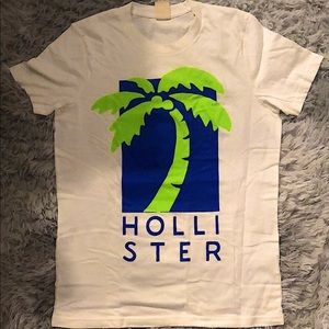Hollister Men's Tee Shirt - DRY CLEANED